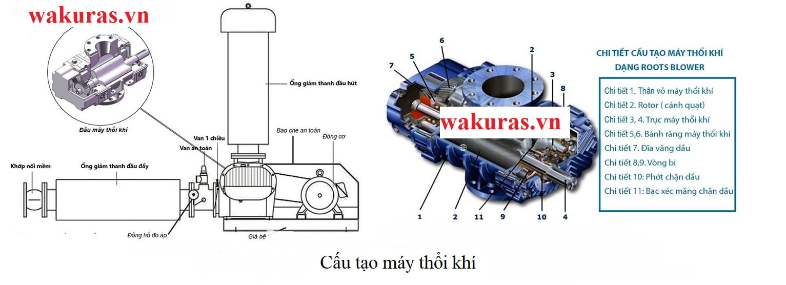 Cấu tạo của máy thổi khí Wakuras RSR-100